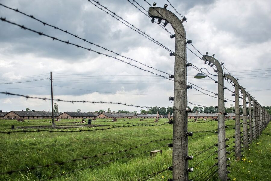 From Krakow: Auschwitz Birkenau Self-Guided Tour - The emotional side of a self-guided visit
