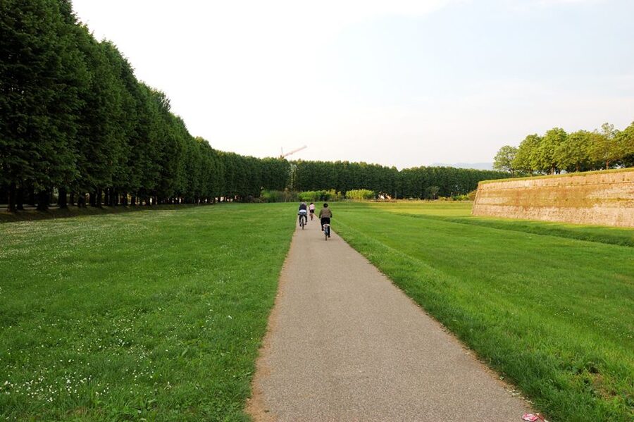 From Lucca to Pisa: Self-Guided Bike Tour - Why this Lucca to Pisa ride is worth your day