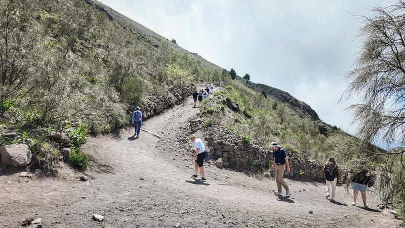 From Pompeii: Mount Vesuvius with bus, ticket and audioguide - Your 110 minutes on Mount Vesuvius
