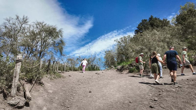 From Pompeii: Mount Vesuvius with bus, ticket and audioguide - What the price gives you