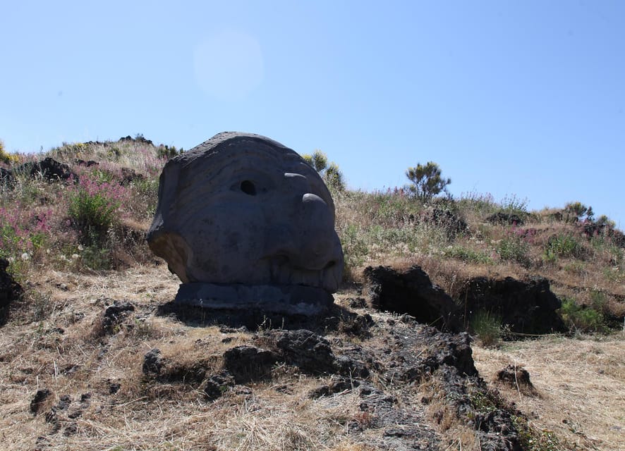 From Pompeii: Vesuvius Entry with Transfer and Audioguide - Who should book this Vesuvius trip