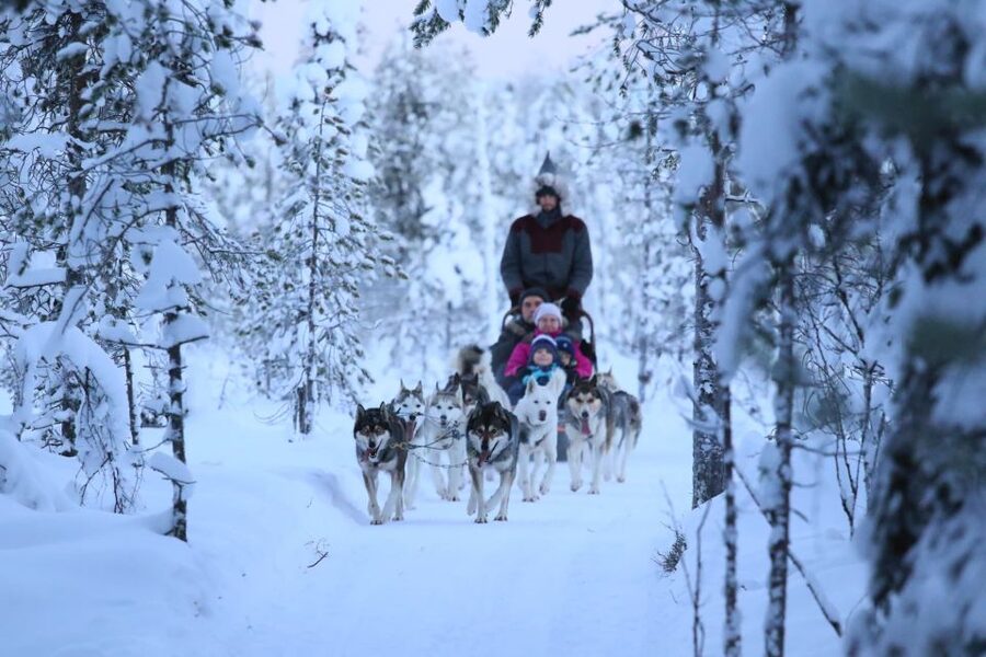 From Rovaniemi: Self-Driven 10km Husky Sled Ride - Who will enjoy this husky outing most?