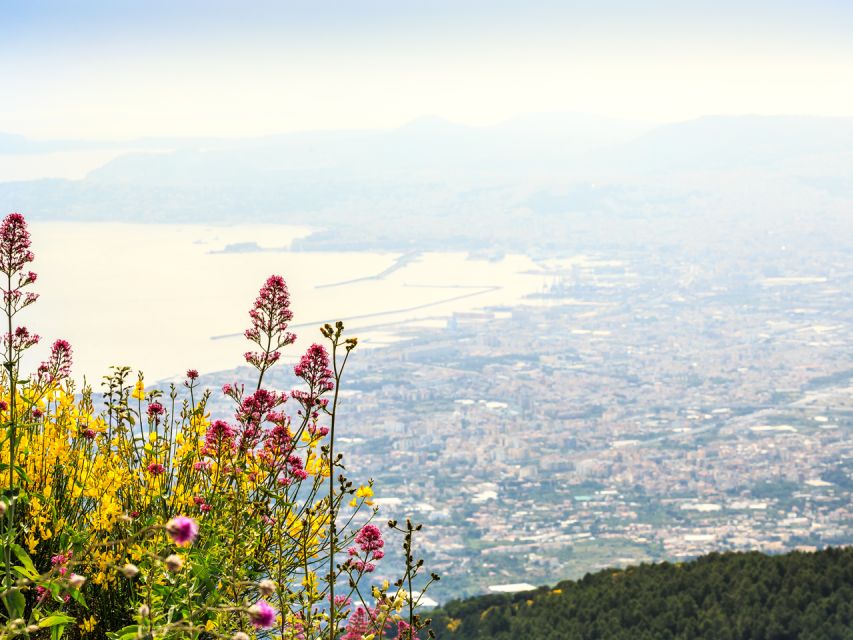 From Salerno: Vesuvius & Pompeii with audioguide - The drive to Pompeii