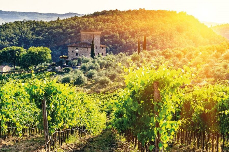 From San Gimignano: Vintage Fiat 500 Self-Drive Chianti Tour - Castellina in Chianti gives the route a proper stop