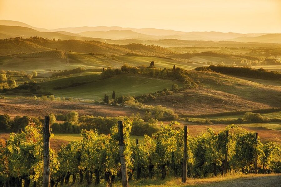 From San Gimignano: Vintage Fiat 500 Self-Drive Chianti Tour - Leaving San Gimignano for the Chianti hills