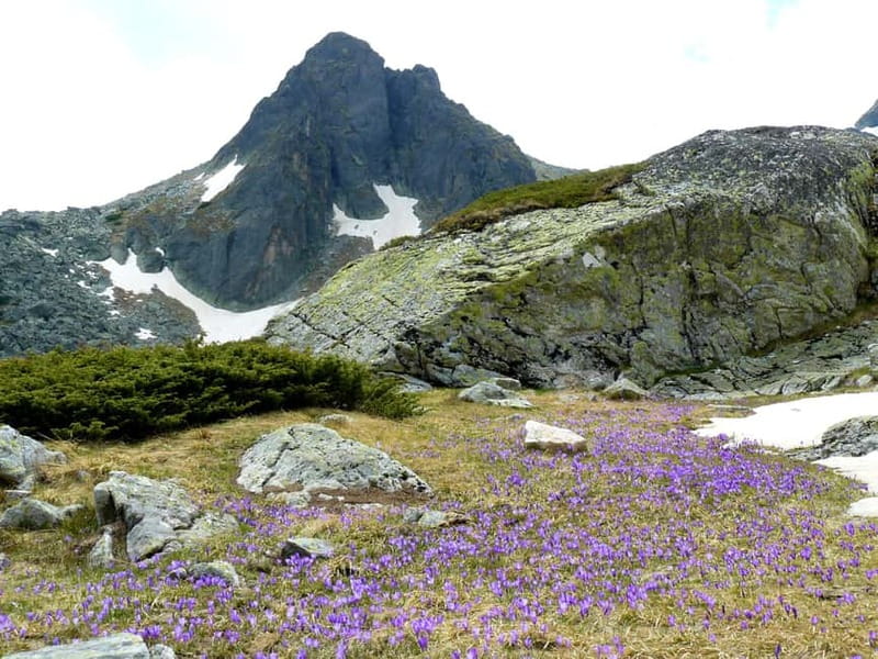 From Sofia: The Seven Rila Lakes Full-Day Self-Guided Tour - The Sofia departure and two-hour transfer