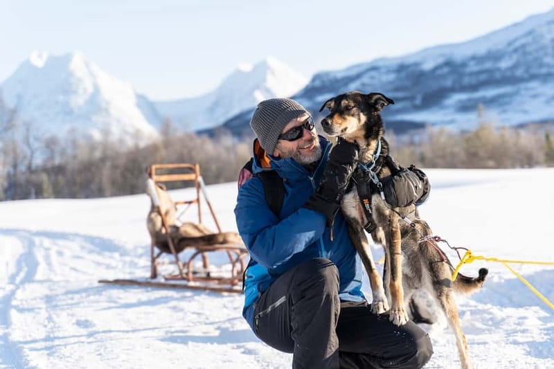 From Tromsø: Husky Experience with Self-Drive Dog Sled Ride - From Tromsø to Breivikeidet by scenic bus