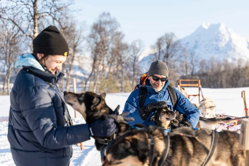 From Tromsø: Husky Experience with Self-Drive Dog Sled Ride - Practical details that affect your day