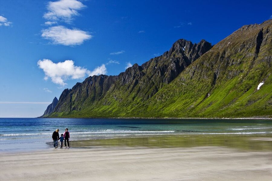 From Tromsø: Self-Guided Fjord Tour to Senja and Local Lunch - Lunch at Hamn and the fishing resort setting