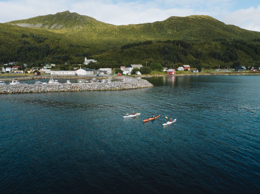 From Tromsø: Self-Guided Fjord Tour to Senja and Local Lunch - Is $195 a fair price?