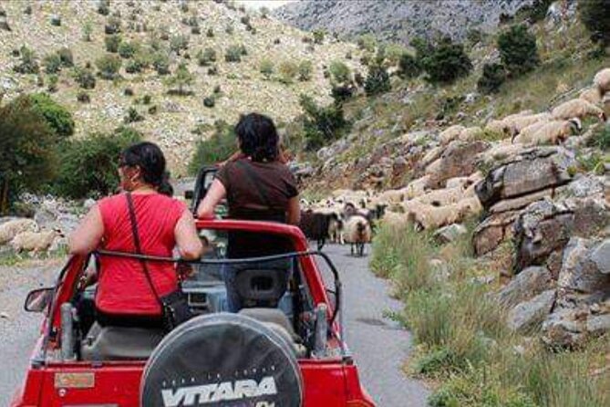 Full-Day 4x4 Self-Drive Safari in East Crete with Lunch - Why this Crete safari is different from a normal day trip