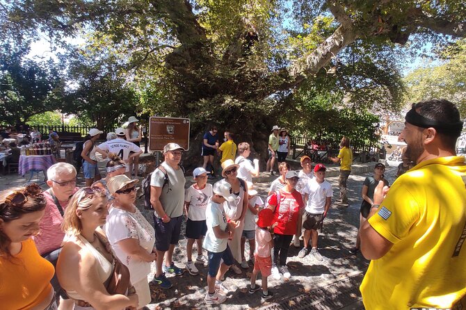 Full Day 4x4 Self-Drive Safari Tour in Crete with BBQ Lunch - What this Crete 4x4 safari is really like