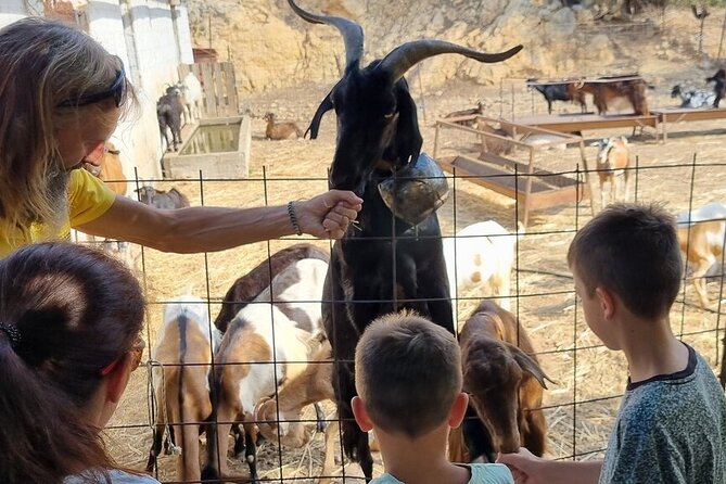 Full Day 4x4 Self-Drive Safari Tour in Crete with BBQ Lunch - Krasi and its ancient plane tree