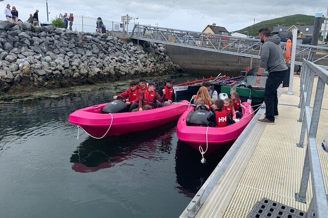 Funky Pink Self Drive Boats - Cruising inside Dingle Harbour
