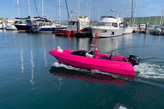 Funky Pink Self Drive Boats - Is $115.64 good value?