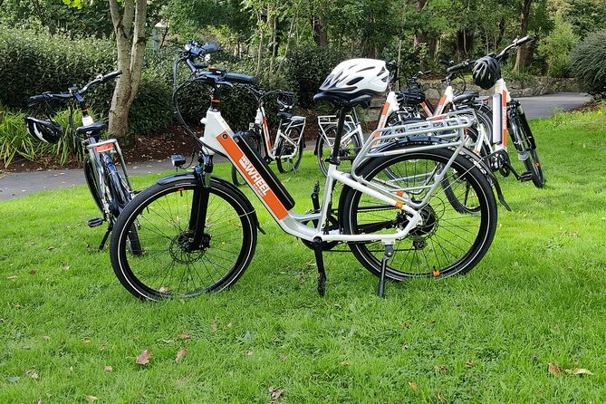 Galway by eBike: Must-Do Independent Half-Day Activity! - Is $72.25 a fair price?