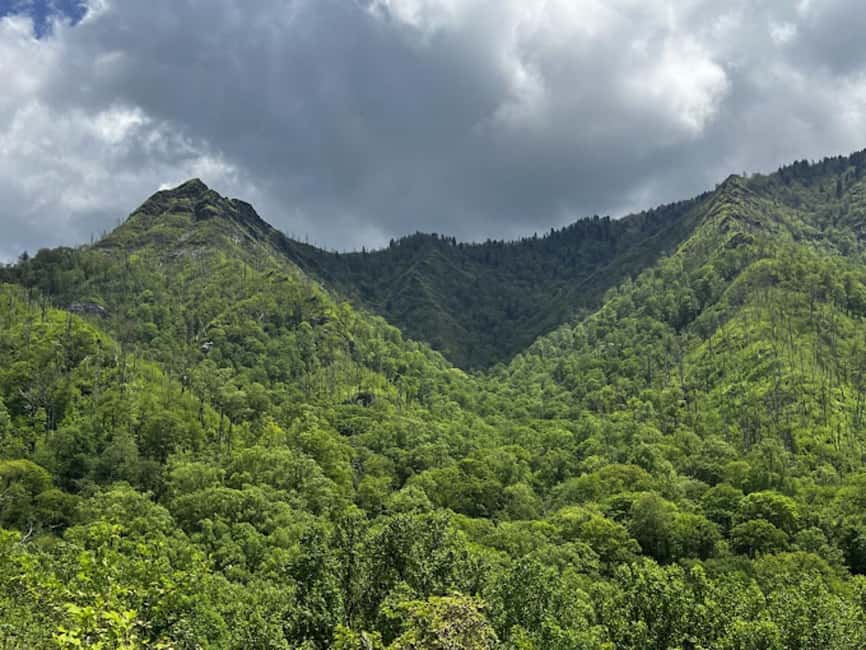Gatlinburg: Self-Guided Street Legal UTV Rentals - The best use of a two-hour rental