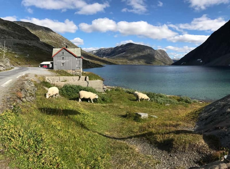 Geiranger Fjord: Downhill Self-Guided Bike Tour - FAQ