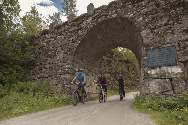 Geiranger Fjord: Downhill Self-Guided Bike Tour - Why Flydalsjuvet deserves a proper stop
