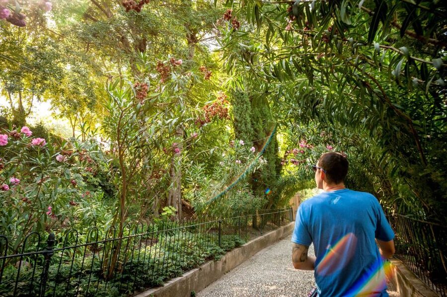 Granada: Alhambra Entry Ticket with Audio Guide - Practical comfort and accessibility notes