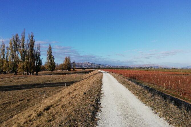 Great Escape Self-Guided Scenic Cycle Winery Tour from Napier - A relaxed way to connect Napier and Hawke’s Bay wine country