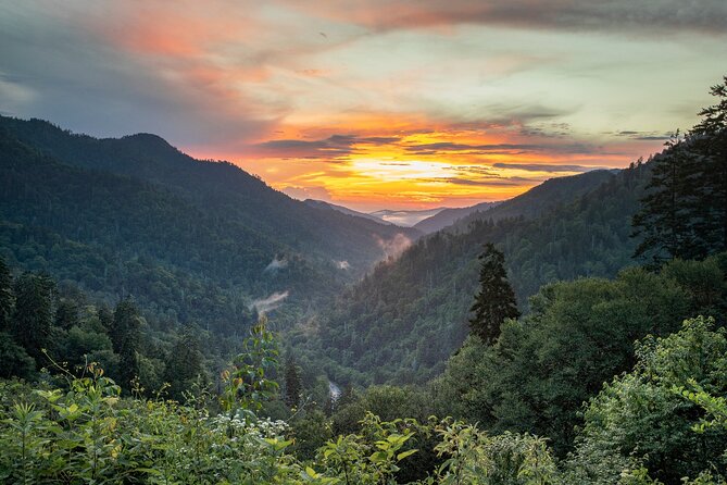 Great Smoky Mountains & Cades Cove Self-Guided Driving Tours - Historic cabins show how Appalachian families lived