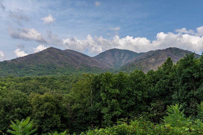 Great Smoky Mountains & Cades Cove Self-Guided Driving Tours - Technology is useful, but you must set it up correctly