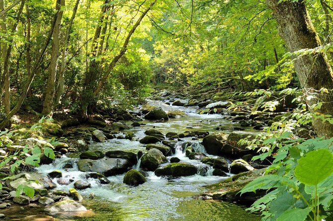 Great Smoky Mountains National Park Self-Guided Audio Tour - Cades Cove needs patience