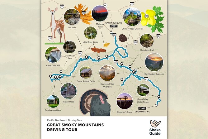 Great Smoky Mountains National Park Self-Guided Audio Tour - Newfound Gap links two states