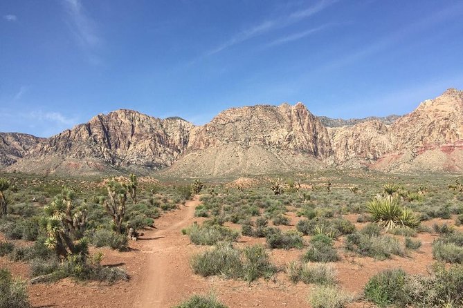 Guided or Self-Guided Road Bike Tour of Red Rock Canyon - Time, group size, and value at $129.99