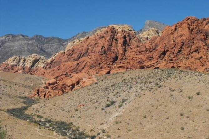 Guided or Self-Guided Road Bike Tour of Red Rock Canyon - Small details that improve the day