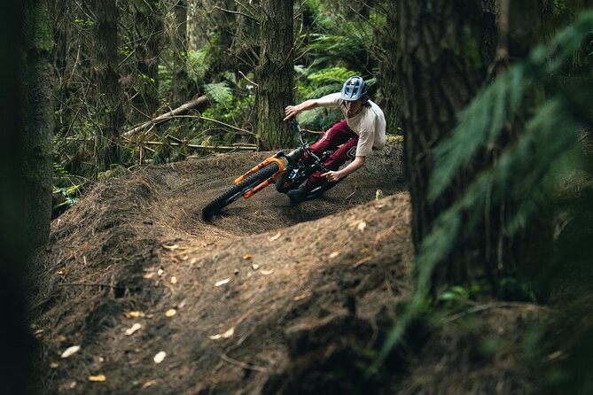 Half-Day Self-Guided Mountain Bike Journey through Whakarewarewa Redwood Forest - Why the Whakarewarewa Redwoods work so well by bike