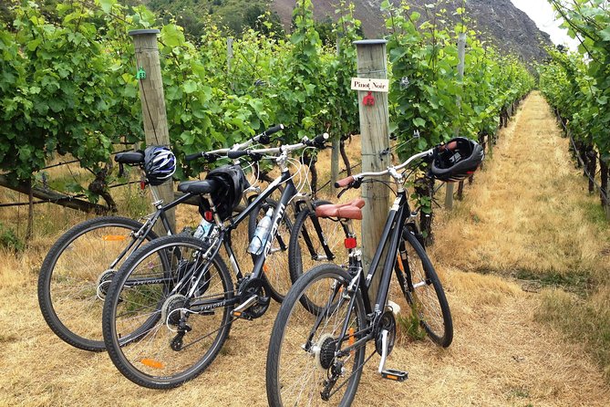 Half-Day Self-Guided Ride and Wine Bike Tour from Arrowtown - Key points to know before you book