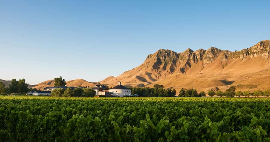 Hawke's Bay: Self Guided Coast to Vineyards Cycle Tour - FAQ