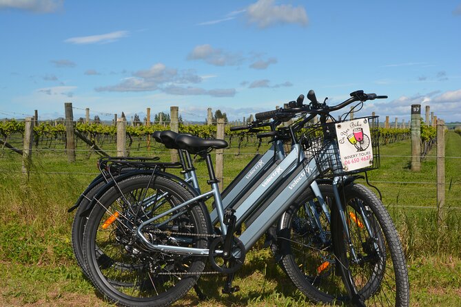 Hawkes Bay Wineries Self-Guided Electric Bike Tour - Key points to know before you pedal