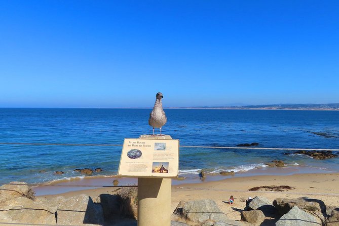 Historic Cannery Row: A Self-Guided Audio Tour of John Steinbeck's Monterey - Bubba Gump Shrimp Co. and an old industrial connection