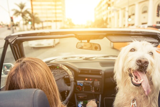 Hollywood Fame & Celebrity Homes Self-Guided Audio Bundle Tour - Hollywood Boulevard and the celebrity trail