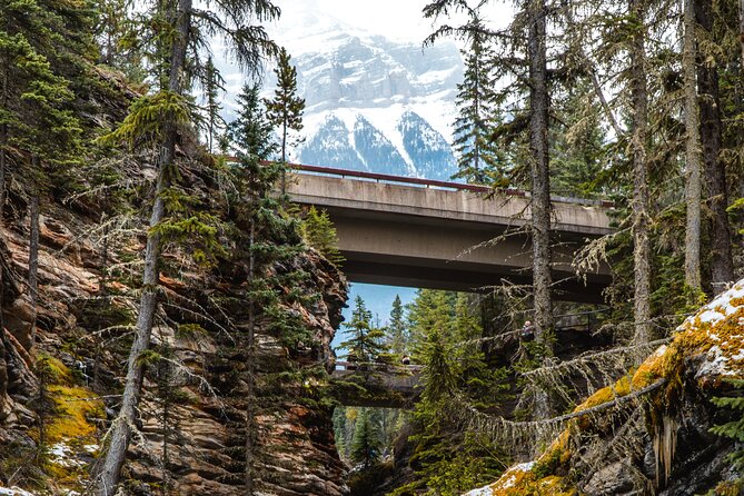 Icefields Parkway: a Smartphone Audio Driving Tour - Peyto Lake and the short stops worth planning