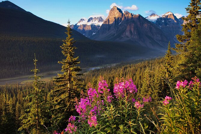Icefields Parkway Self-Guided Driving Audio Tour - Peyto Lake, Bow Lake, and the finish near Lake Louise