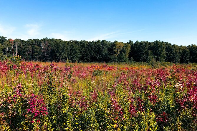 Indiana Dunes National Park Self-Guided Audio Tour - Ancient shorelines and serious hiking at Cowles Bog