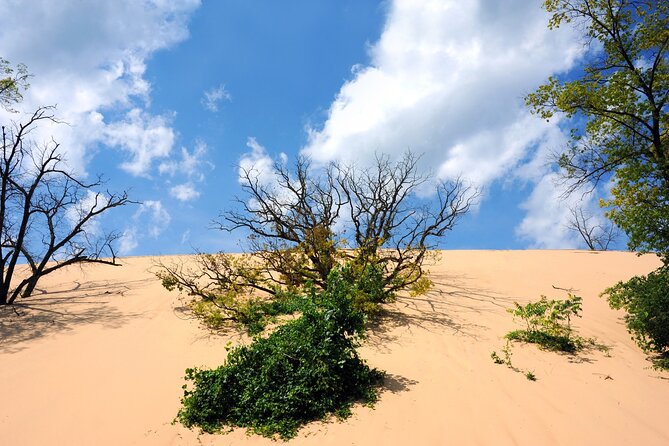 Indiana Dunes National Park Self-Guided Audio Tour - West Beach and Marquette Park near Gary