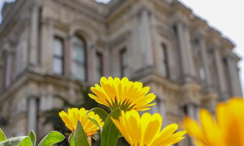 Istanbul: Beylerbeyi Palace Skip-the-Line Ticket & Audio … - Timing your visit between 9 AM and 5 PM