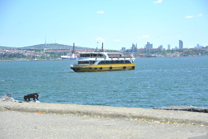 Istanbul: Bosphorus and Golden Horn Cruise with Audio Guide - Rumeli Fortress and the northern Bosphorus