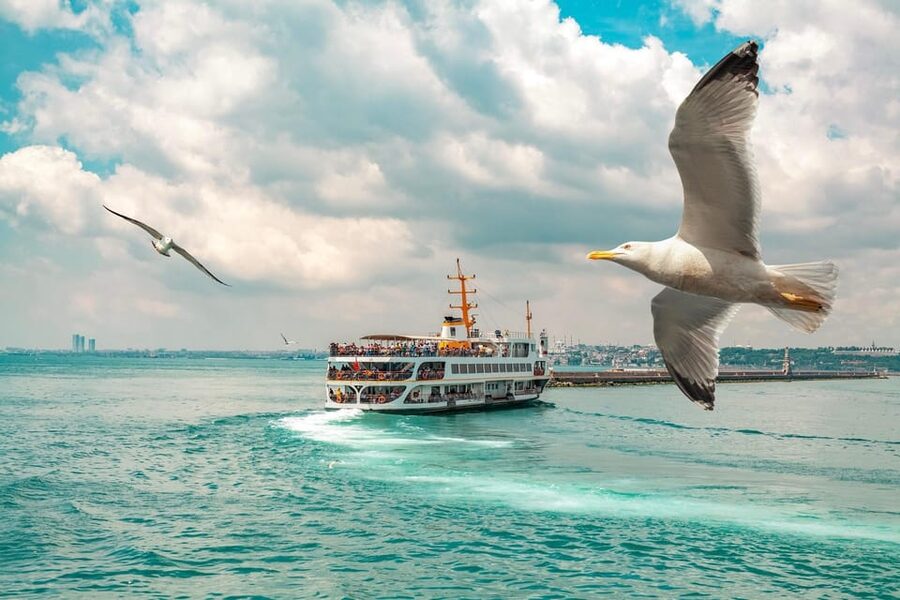 Istanbul: Bosphorus Strait Sightseeing Cruise & Audio Guide - Ortaköy and the Bosphorus Bridge