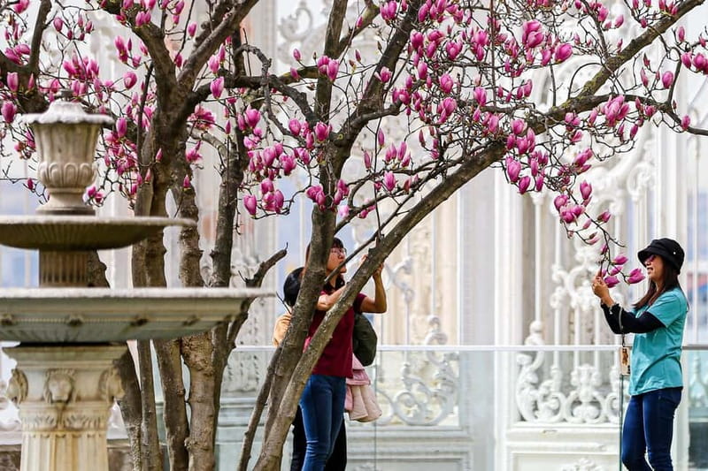 Istanbul: Dolmabahce Palace and Harem Fast-Track & Audio - What you cannot do inside