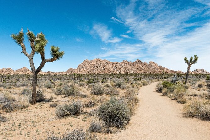 Joshua Tree National Park Self-Guided Driving Audio Tour - Intersection Rock and Cap Rock