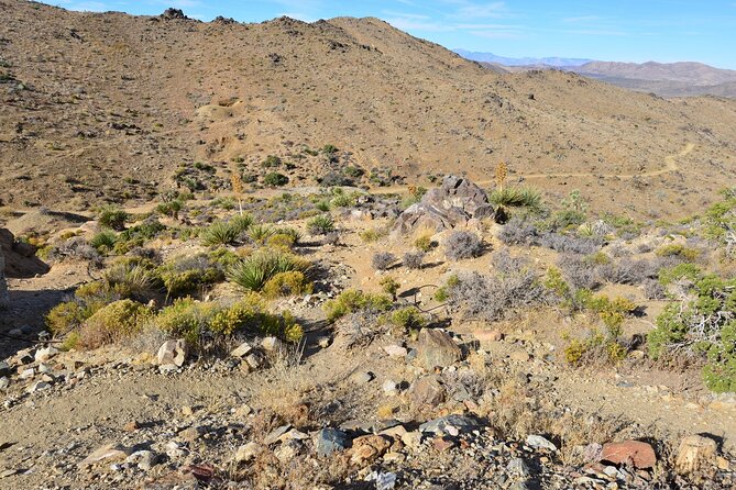 Joshua Tree National Park Self-Guided Driving Audio Tour - Lost Horse Valley and its old mines