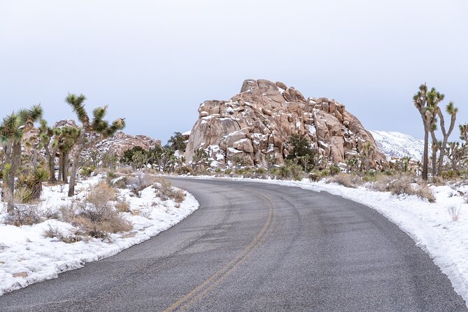 Joshua Tree National Park Self-Guided Driving Audio Tour - Reaching Twenty-Nine Palms and choosing a detour