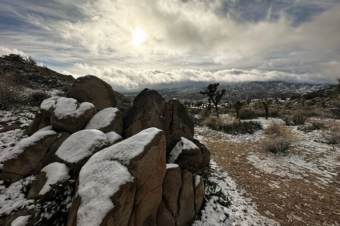 Joshua Tree National Park Self-Guided Driving Audio Tour - Samuelsons Rock and Willow Hole