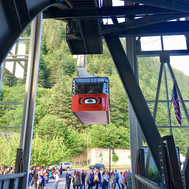 Juneau: Mount Roberts Tram Ride with App and Map - Key points to know before you go